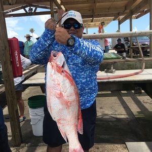 Meet your Posher, Jose